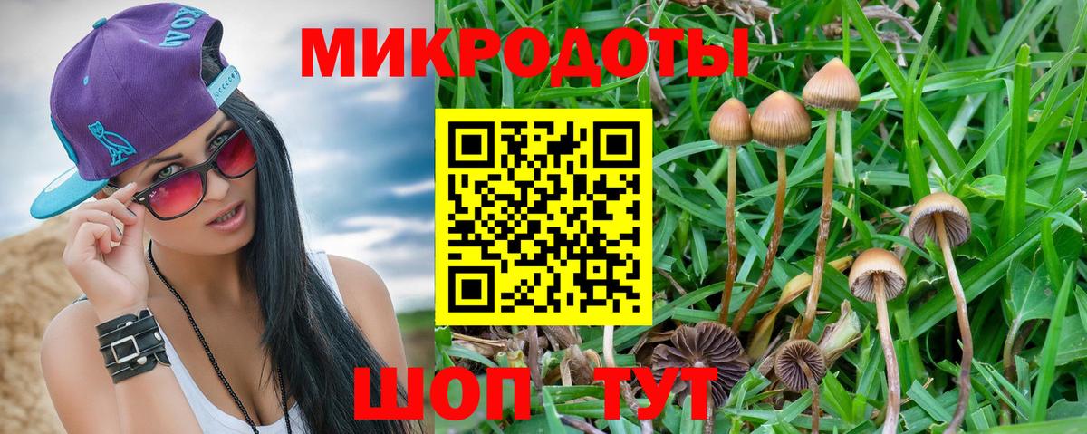 Галлюциногенные грибы Psilocybe  где купить наркотик  Новосибирск  Вход с VPN 